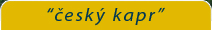 Primary Raster logo